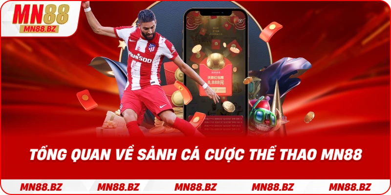 Thông tin tổng quan về sảnh thể thao MN88