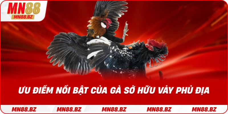 Những lợi thế của chiến kê có vảy phủ địa trong thi đấu